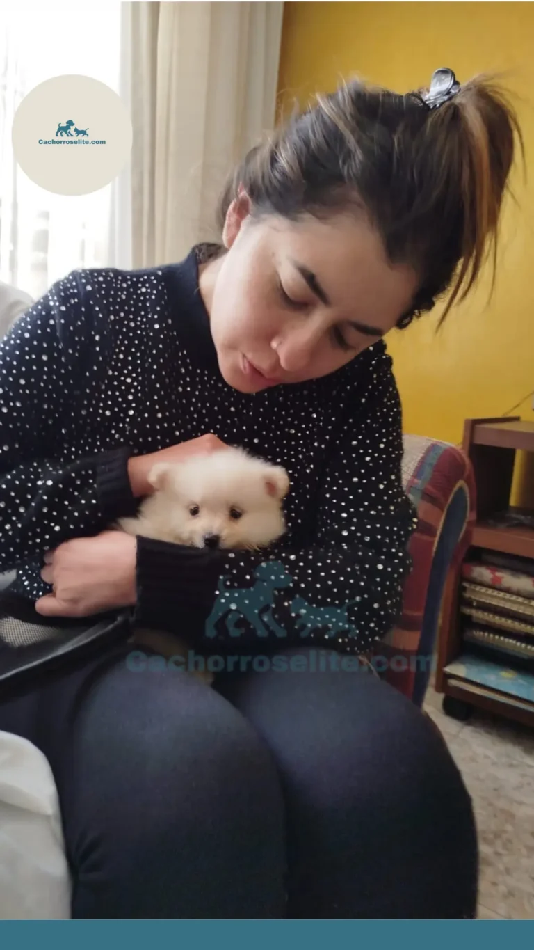 Persona feliz con cachorro – Cachorros Élite