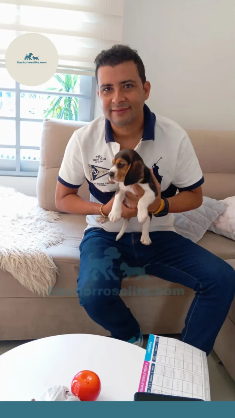 Persona feliz con cachorro – Cachorros Élite