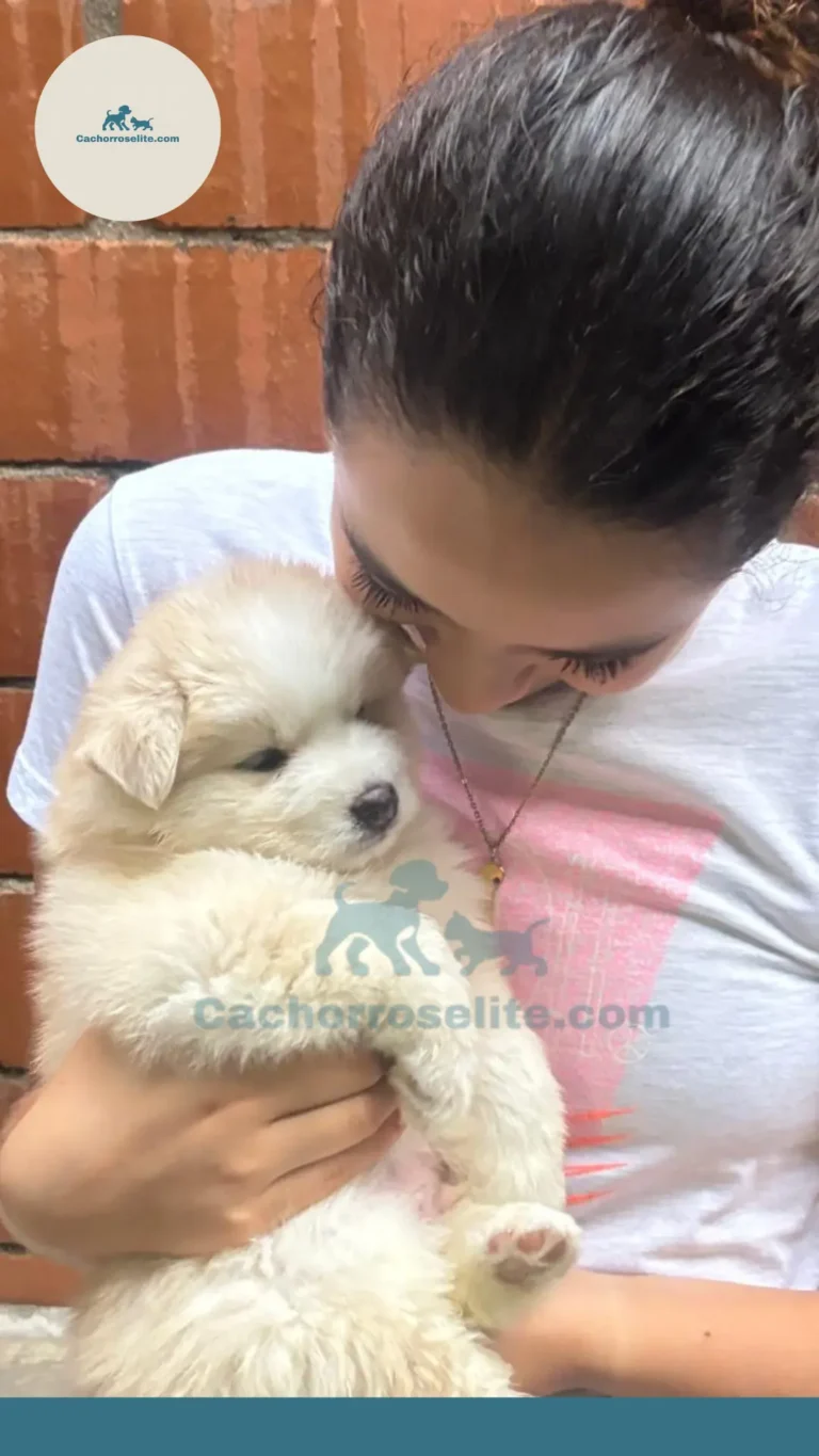 Persona feliz con cachorro – Cachorros Élite