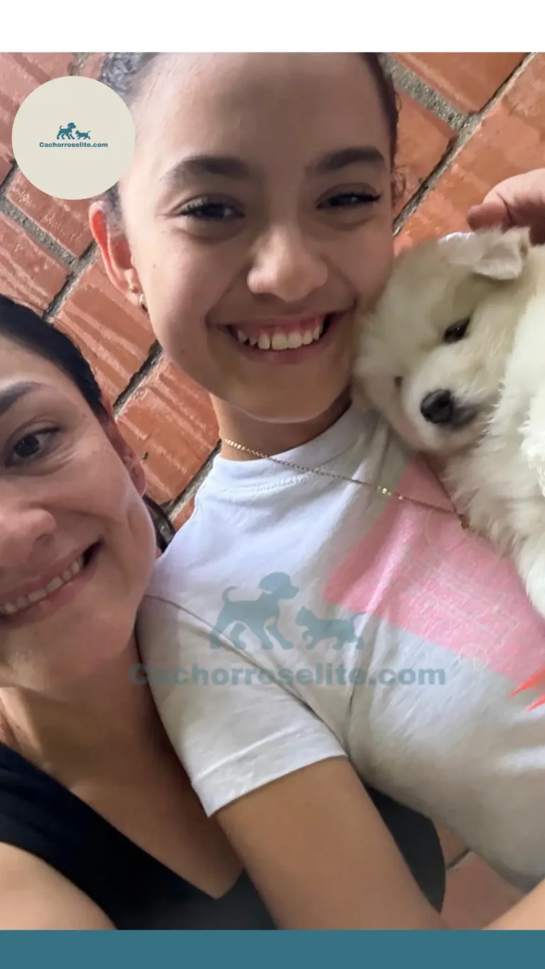 Persona feliz con cachorro – Cachorros Élite