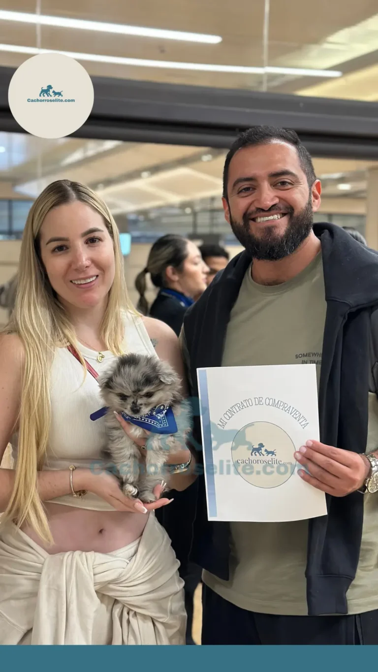 Persona feliz con cachorro – Cachorros Élite