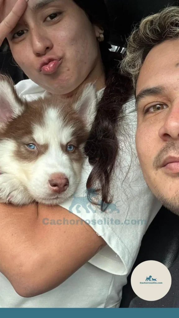 mujer y hombre con cachorro de Husky siberiano lobo rojo