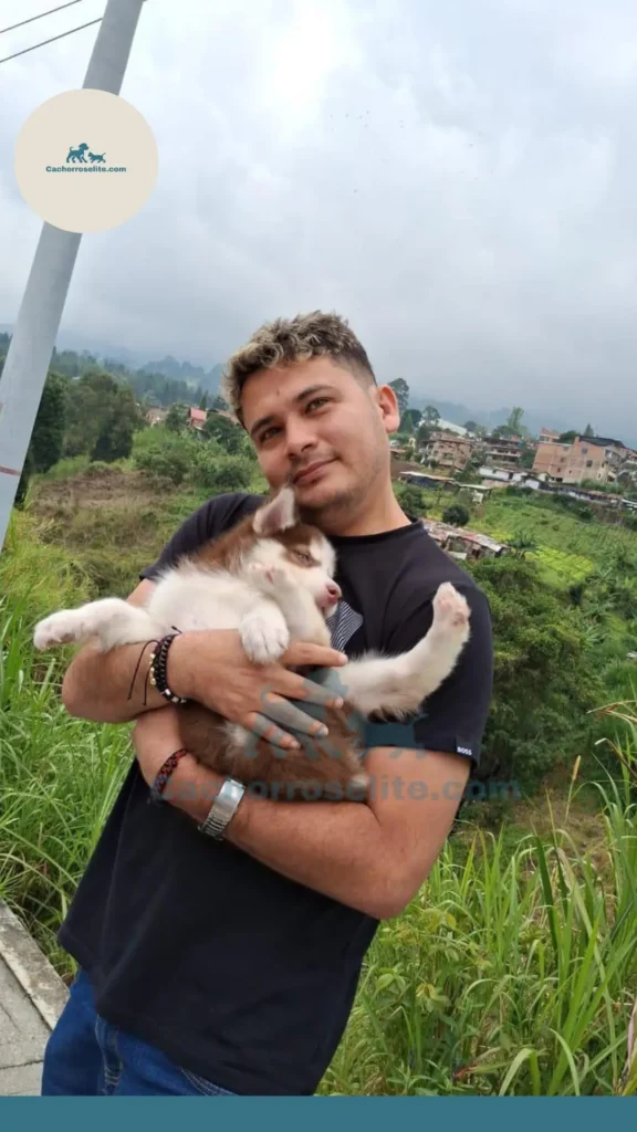 hombre con cachorro de Husky siberiano lobo rojo