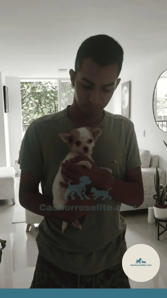 Cliente con su mascota feliz Cachorros elite