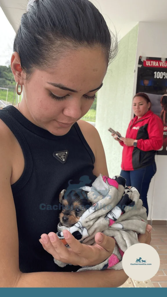 Cliente con su mascota feliz Cachorros elite