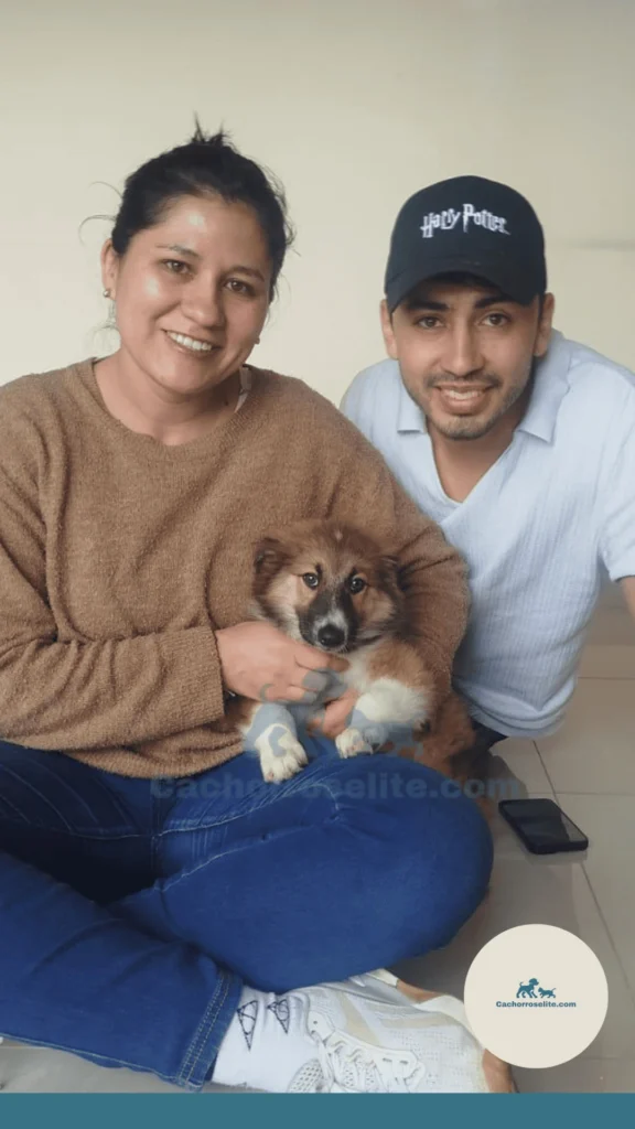 Cliente con su mascota feliz Cachorros elite