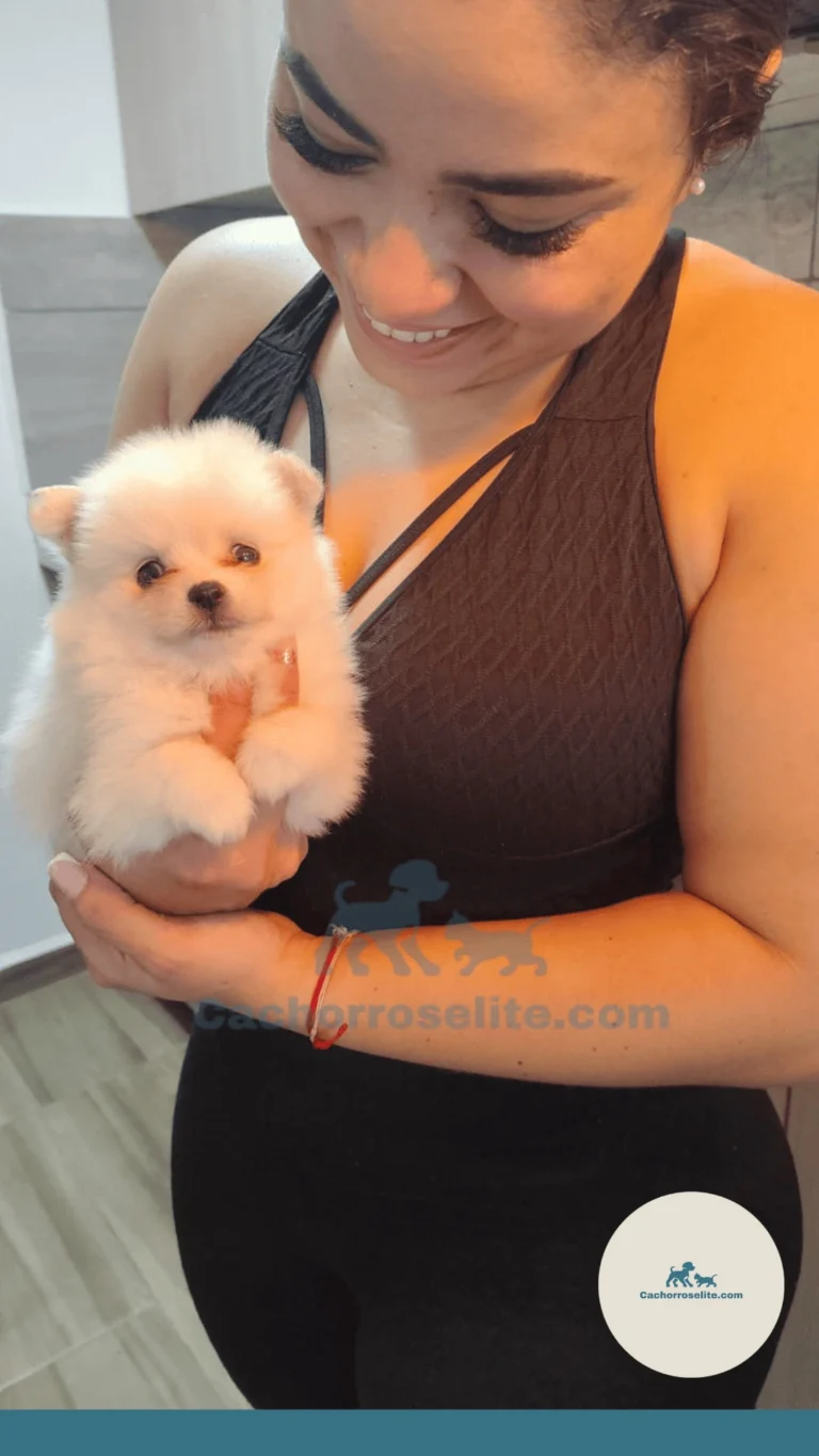 Cliente con su mascota feliz Cachorros elite