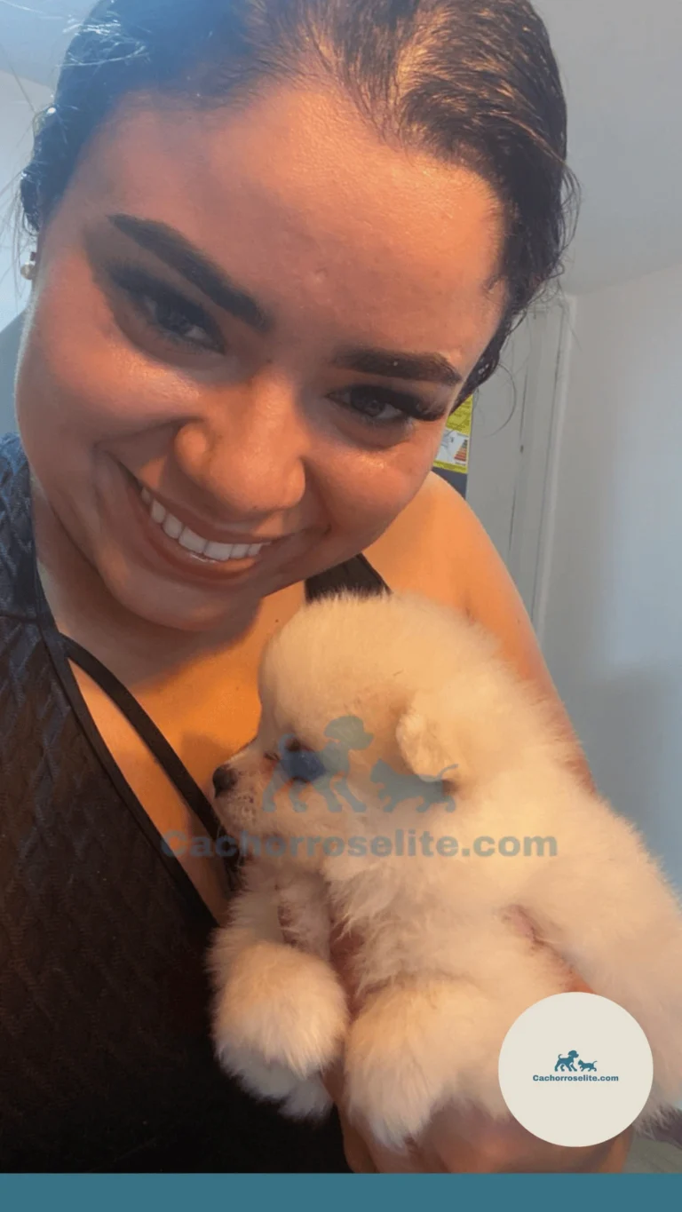 Cliente con su mascota feliz Cachorros elite