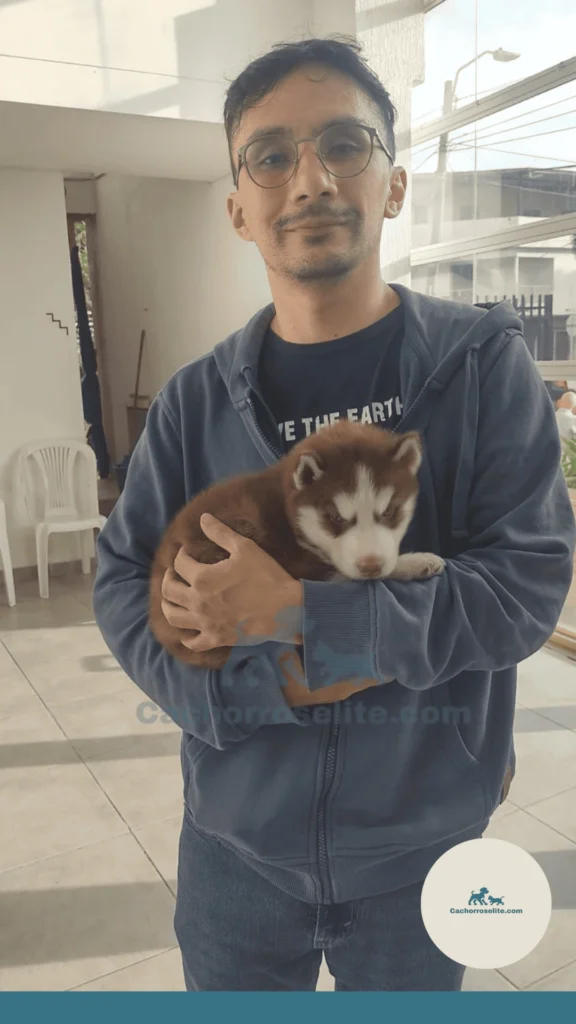Cliente con su mascota feliz Cachorros elite