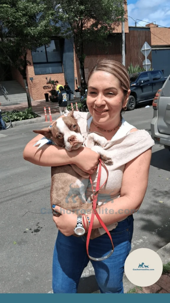 Cliente con su mascota feliz Cachorros elite