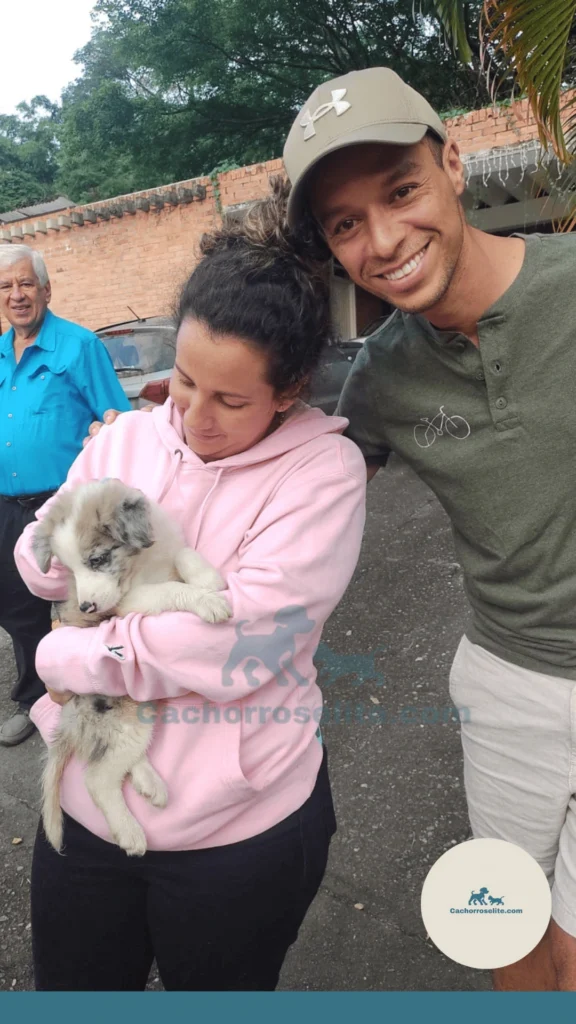 Cliente con su mascota feliz Cachorros elite
