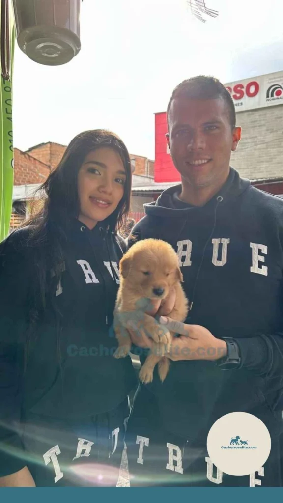 persona feliz con cachorro golden retriever Clientes felices cachorroselite