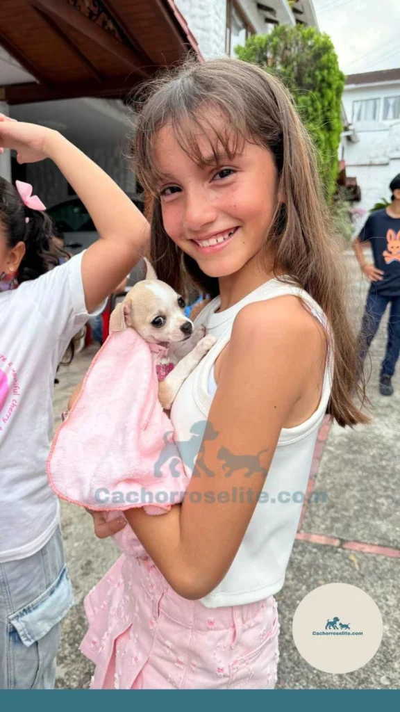 persona feliz con cachorro chihuahua Clientes felices cachorroselite