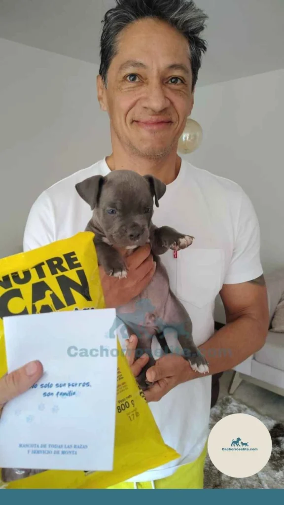 persona feliz con cachorro pitbull bully Clientes felices cachorroselite