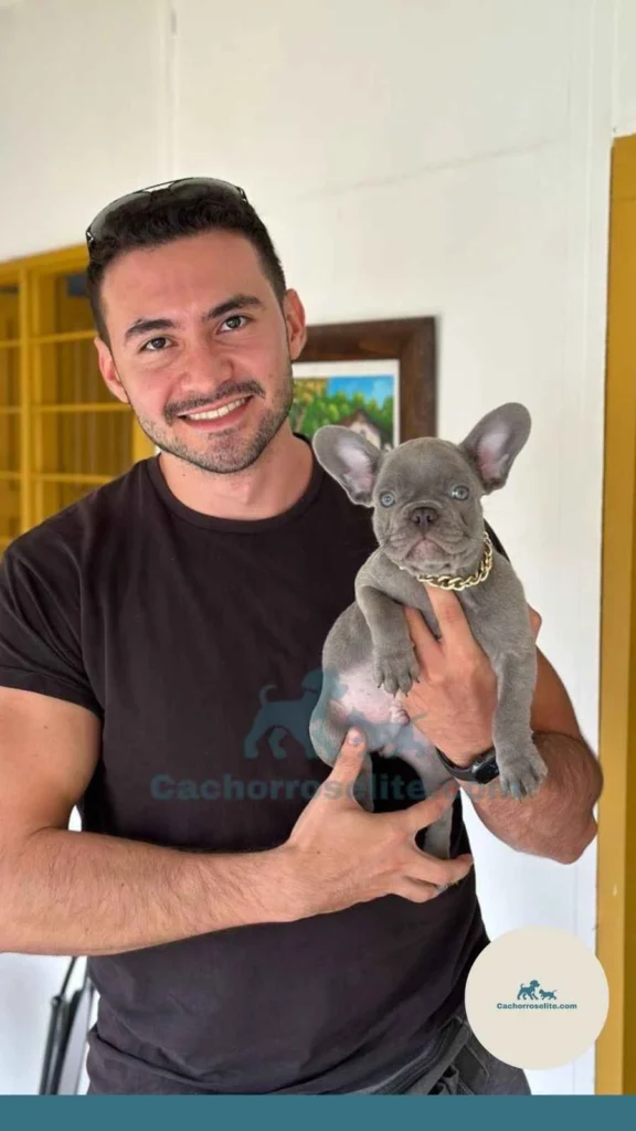 persona feliz con cachorro bulldog frances Clientes felices cachorroselite