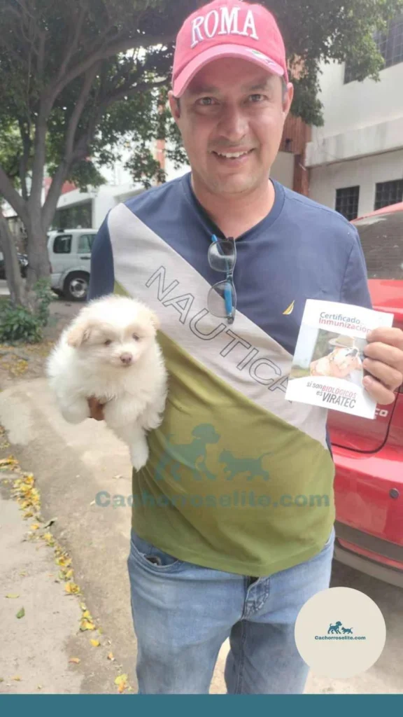persona feliz con cachorro pomerania Clientes felices cachorroselite