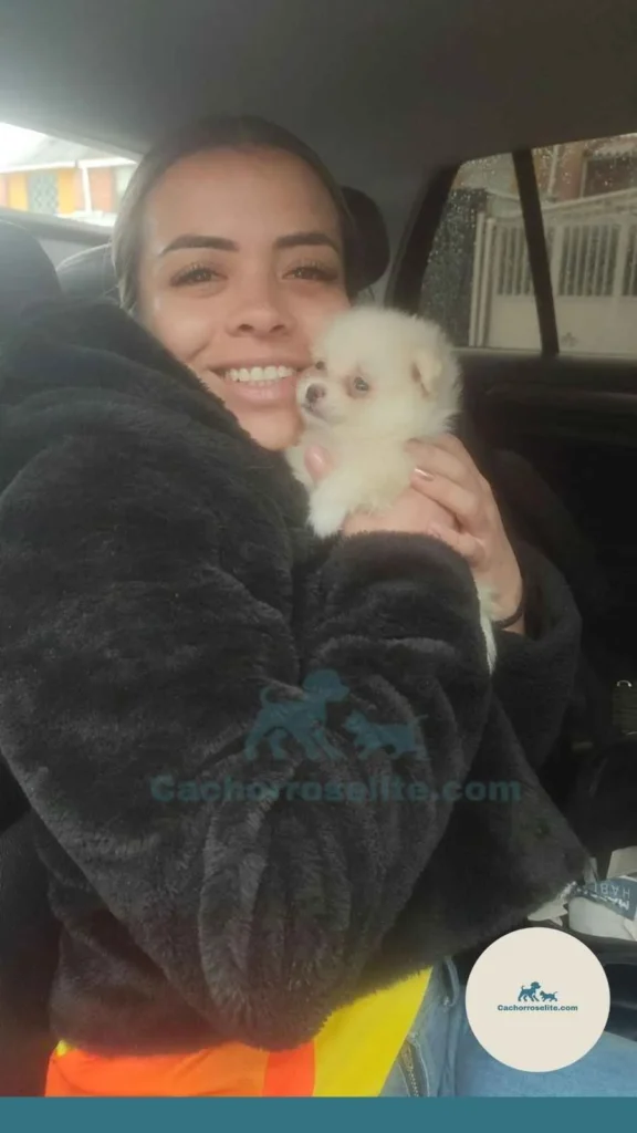 persona feliz con cachorro pomerania Clientes felices cachorroselite
