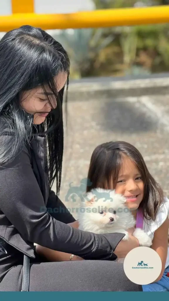 familia feliz con cachorro pomerania Clientes felices cachorroselite