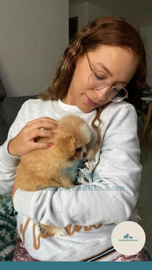 persona feliz con cachorro pomerania Clientes felices cachorroselite