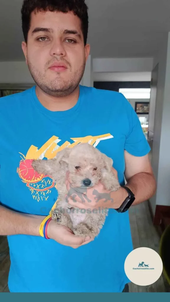 persona feliz con cachorro schnauzer Clientes felices cachorroselite