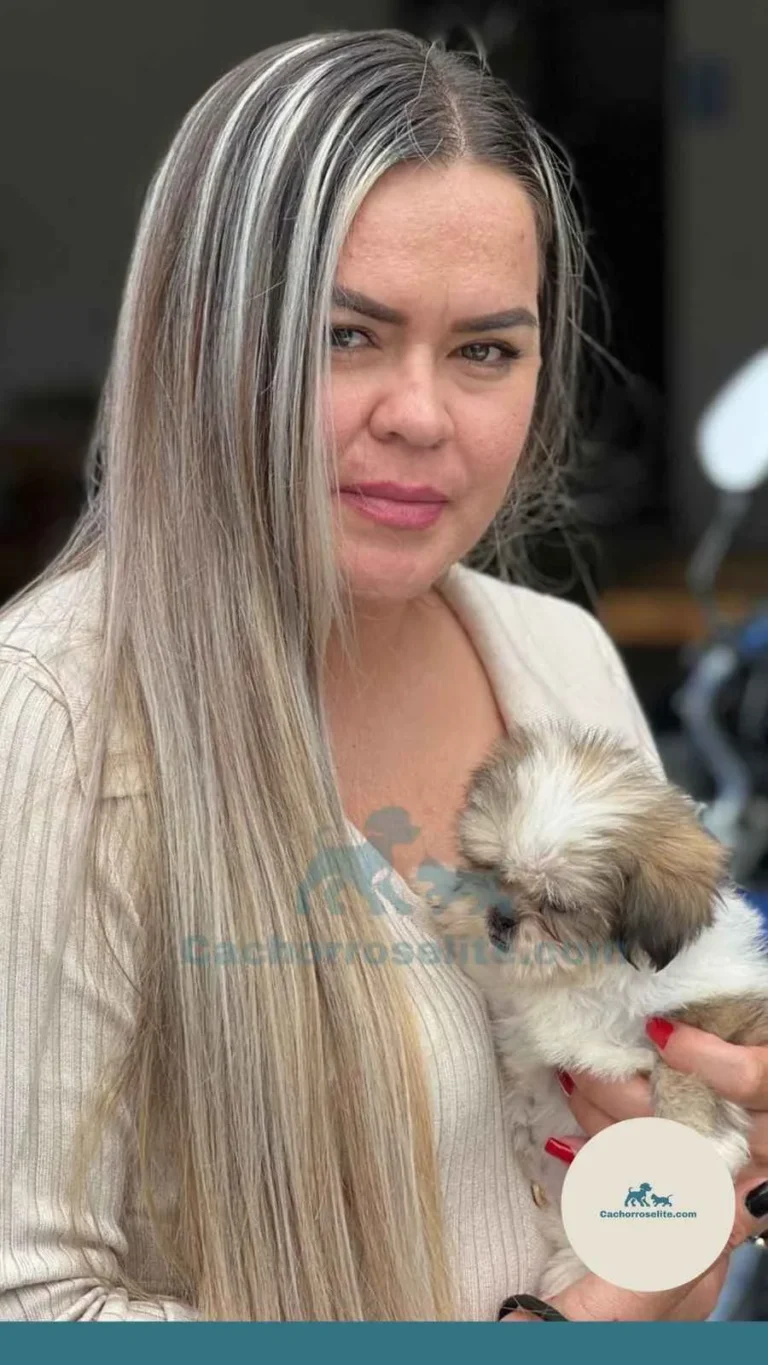 Persona feliz con cachorro Shih Tzu – Cachorros Élite