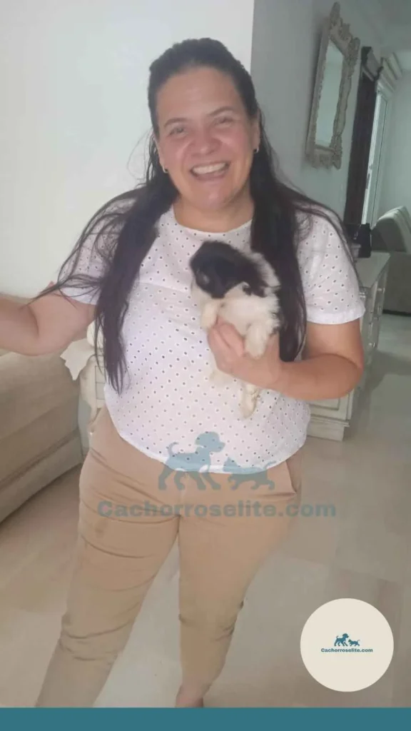 persona feliz con cachorro Shih Tzu Clientes felices cachorroselite
