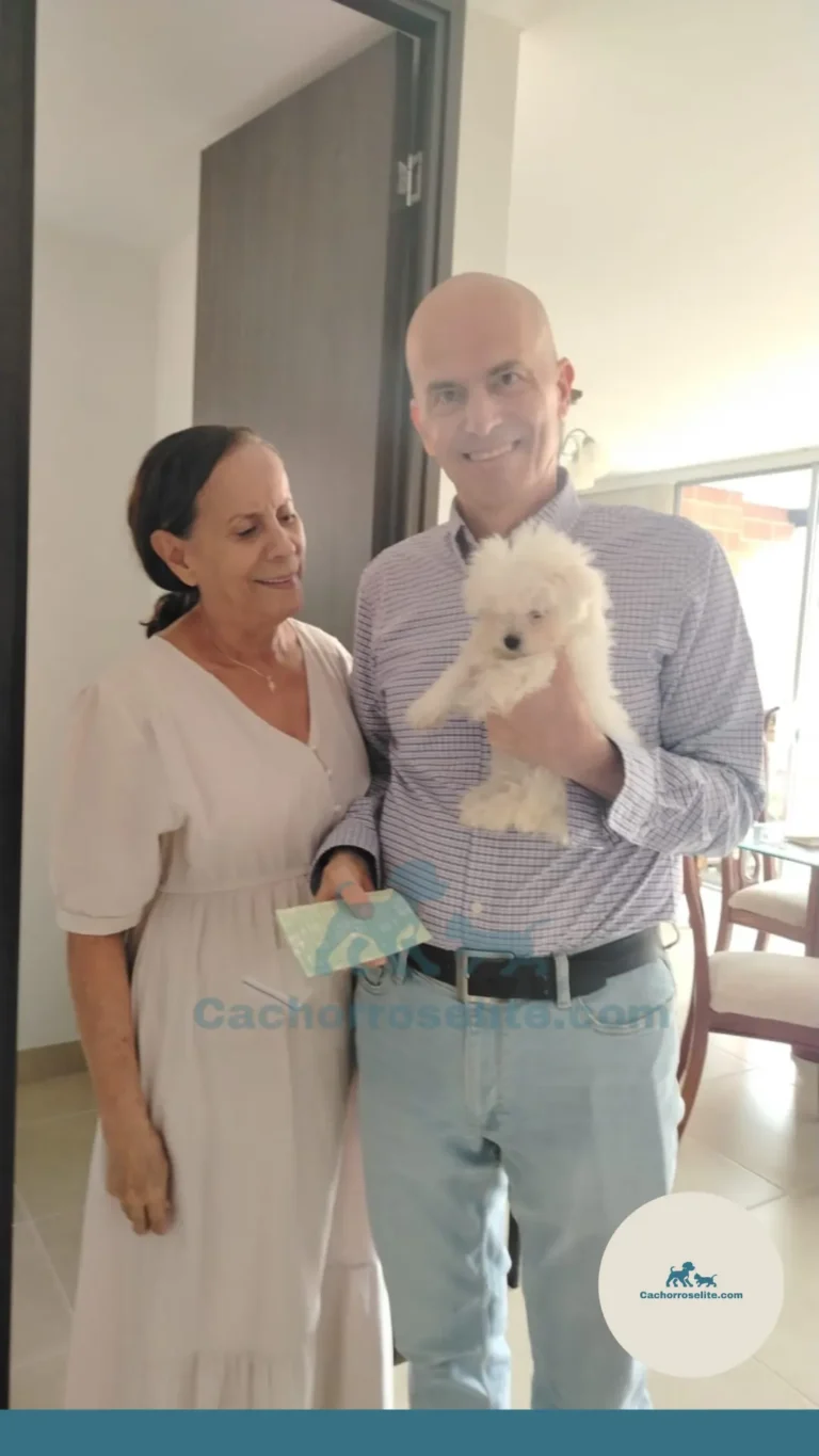 Familia recibiendo su cachorro de raza en casa