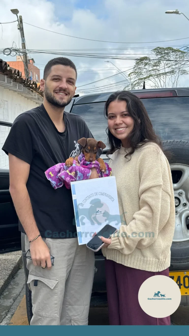 Familia feliz recibiendo su cachorro de Cachorros Élite