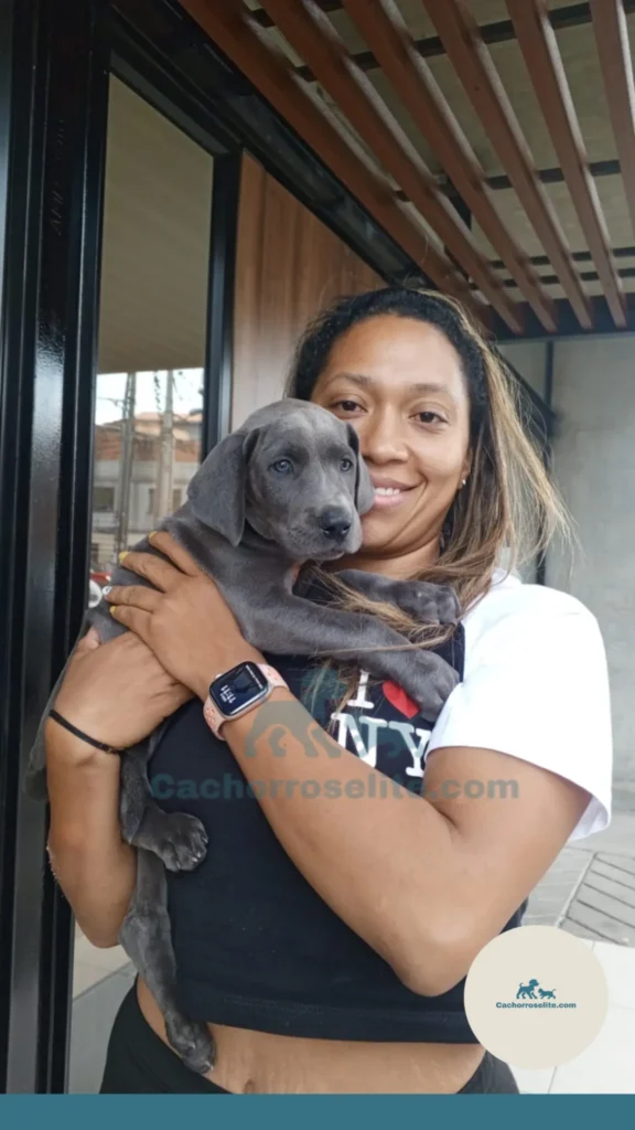mujer feliz con cachorro gran danes blue Clientes felices cachorroselite