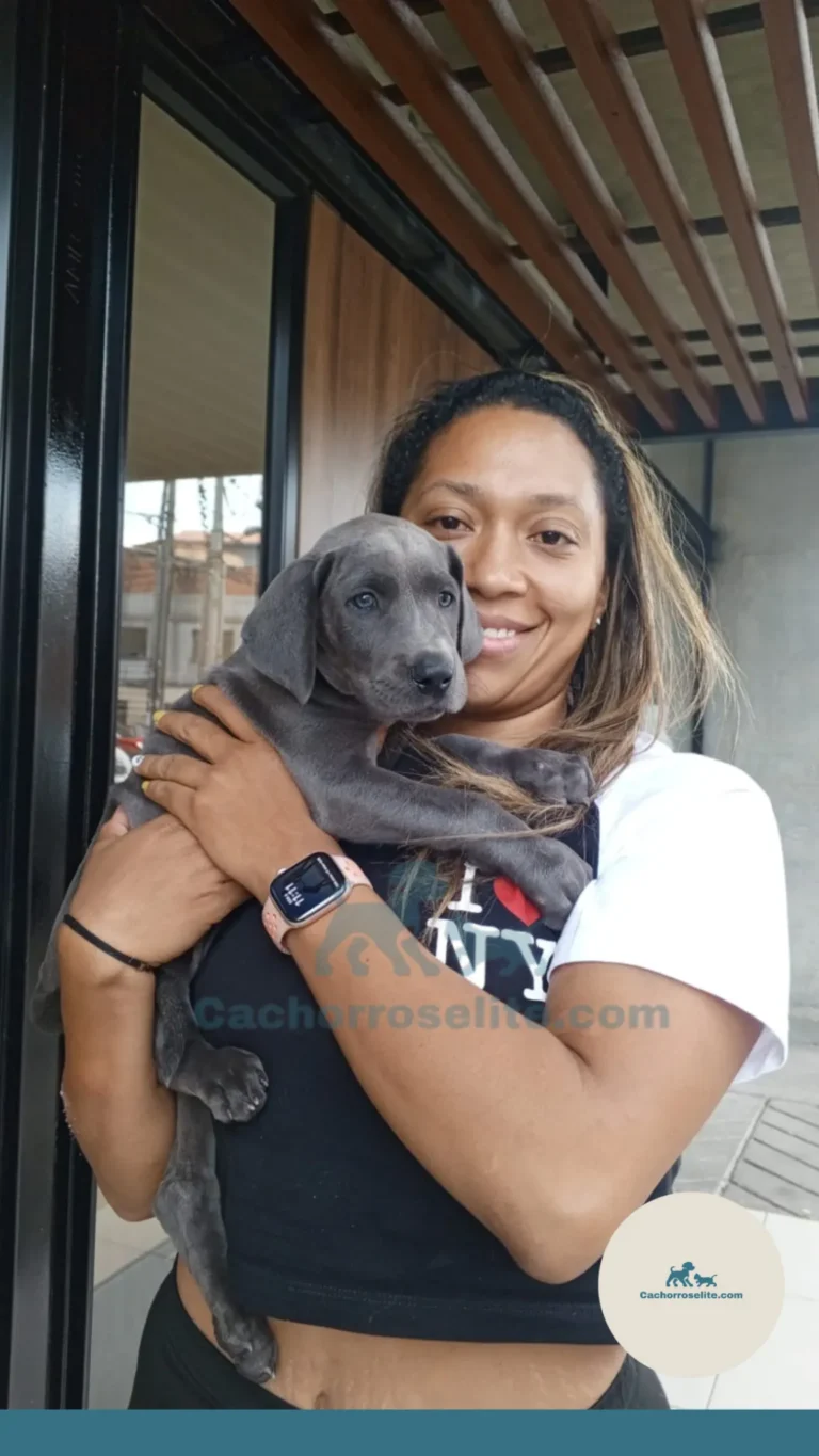 Cliente feliz con su cachorro de Cachorros Élite