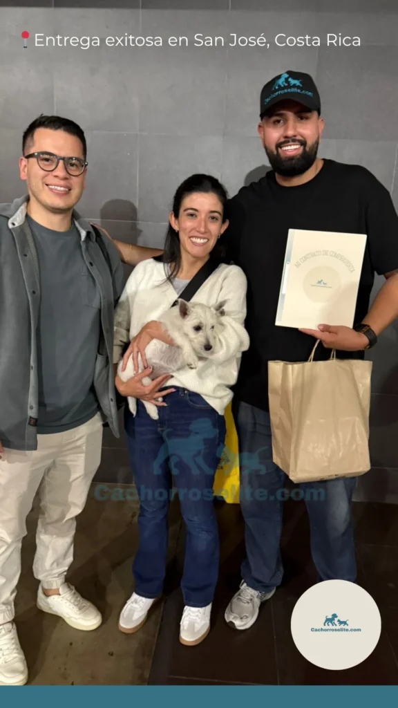 persona feliz con cachorro westy West Highland white terrier Clientes felices cachorroselite