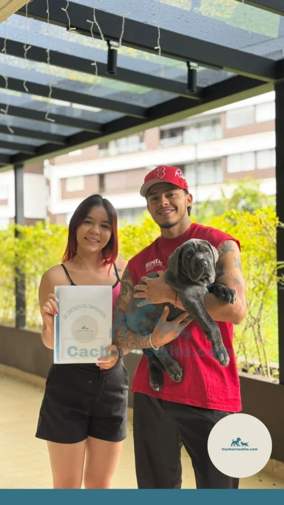 persona feliz con cachorro cane corso Clientes felices cachorroselite