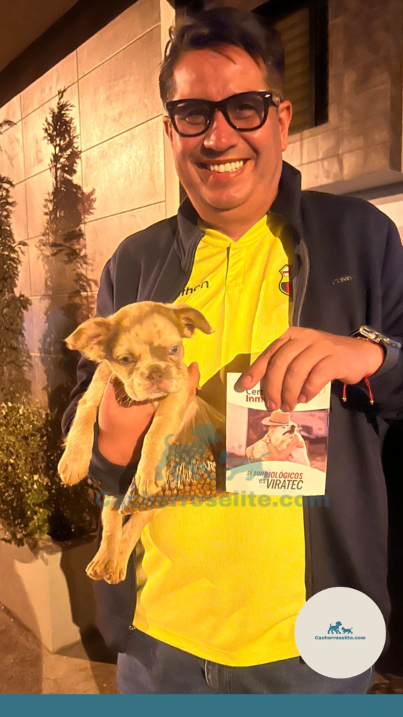 persona feliz con cachorro bulldog frances fluffy en venta Clientes felices cachorroselite