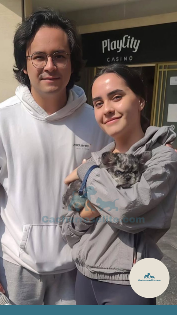 persona feliz con cachorro bulldog frances fluffy en venta Clientes felices cachorroselite