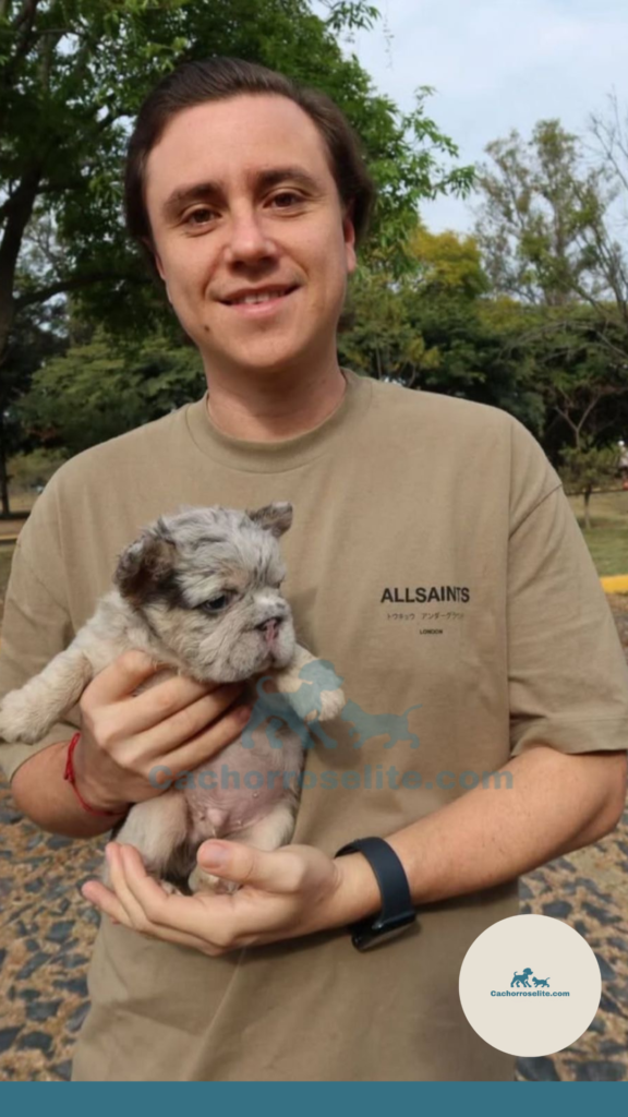 persona feliz con cachorro bulldog frances fluffy en venta Clientes felices cachorroselite