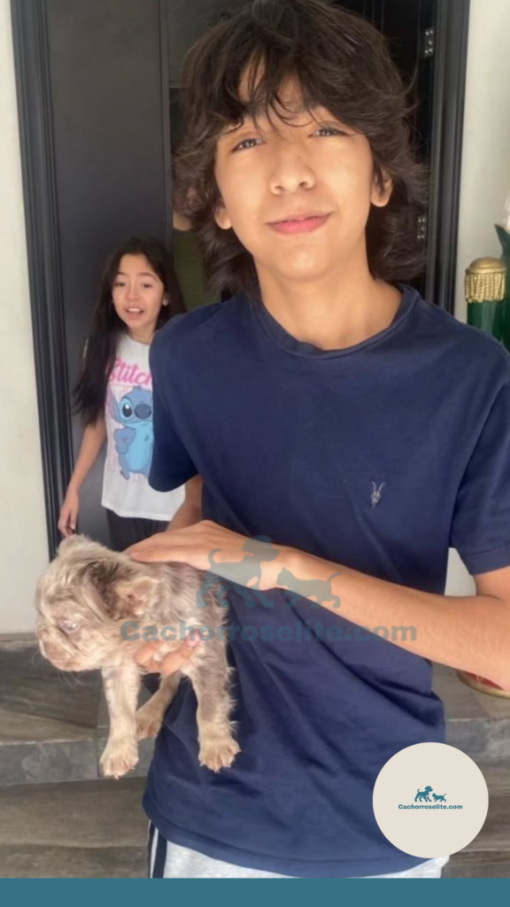 persona feliz con cachorro bulldog frances fluffy en venta Clientes felices cachorroselite