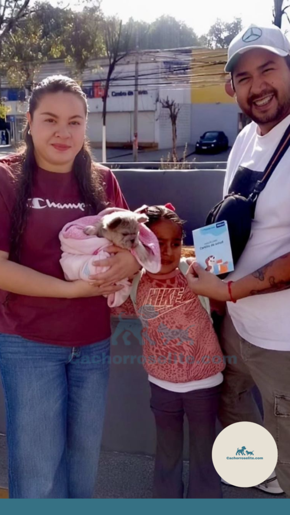 persona feliz con cachorro bulldog frances fluffy en venta Clientes felices cachorroselite