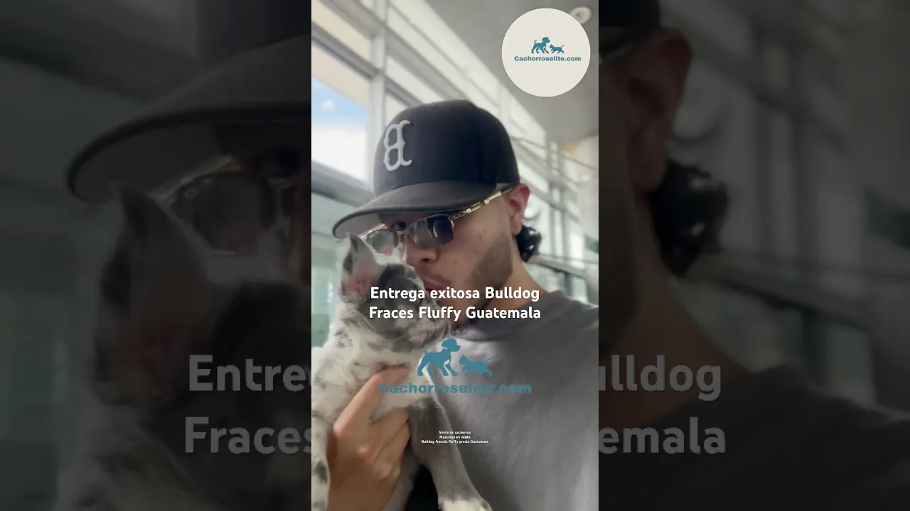 Familia feliz con su cachorro de Cachorros Élite