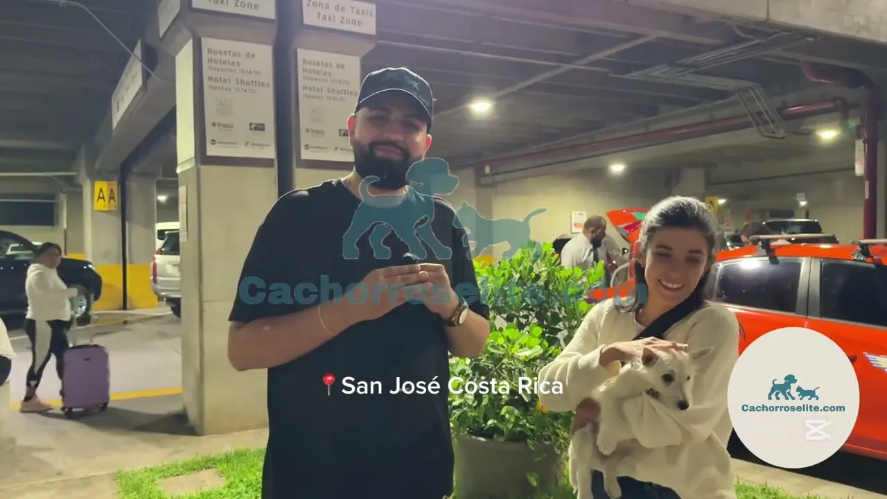 Familia feliz con su cachorro de Cachorros Élite