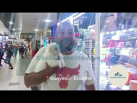 Familia feliz con su cachorro de Cachorros Élite