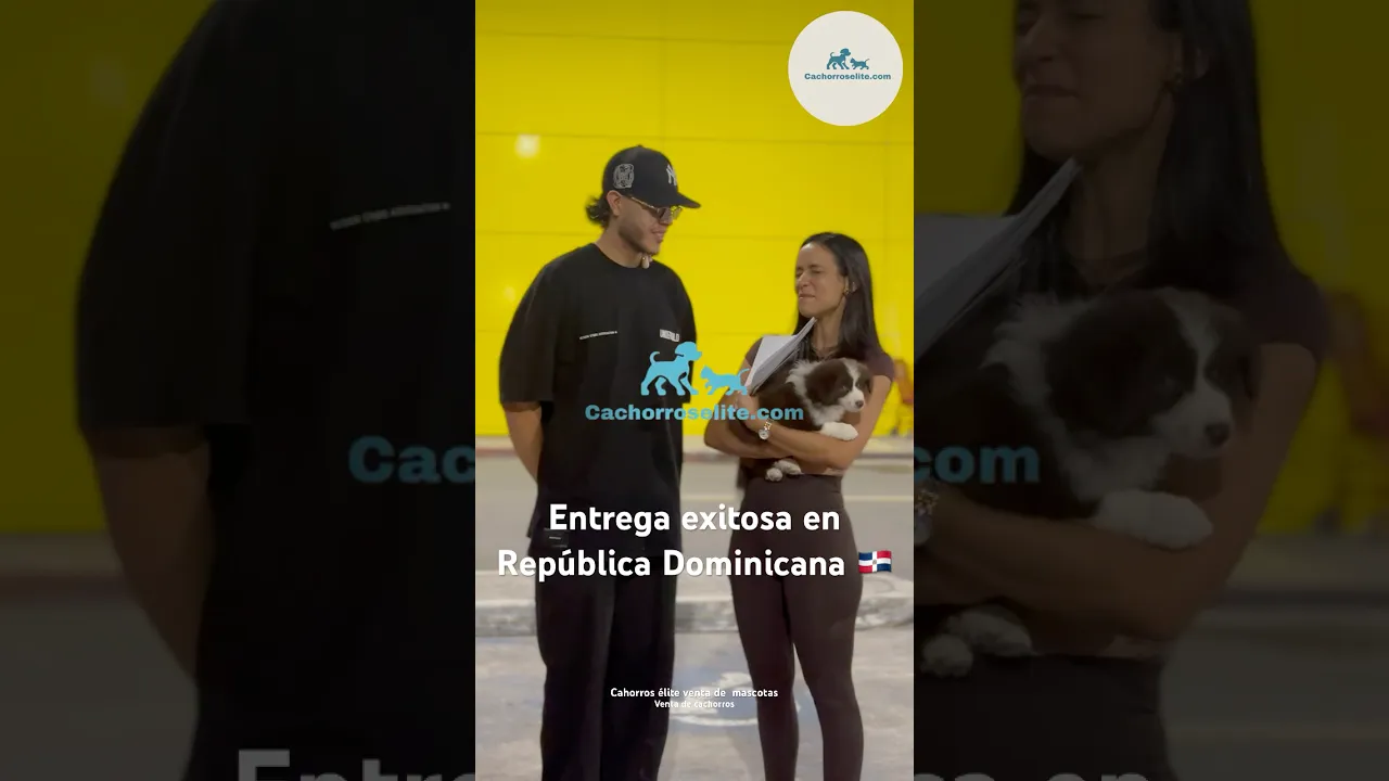 Familia feliz con su cachorro de Cachorros Élite